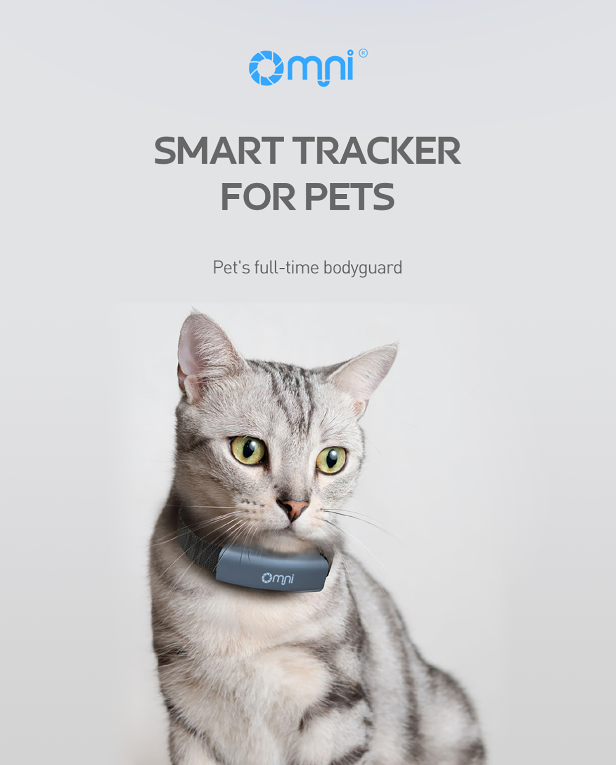 pet tracker app