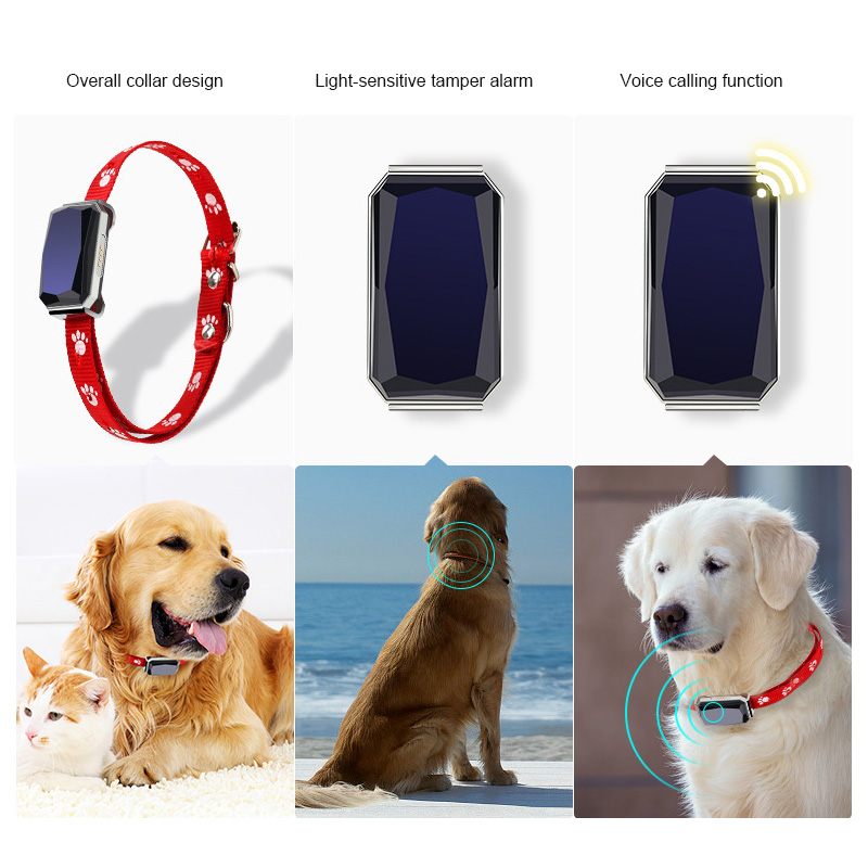 dog tracker app