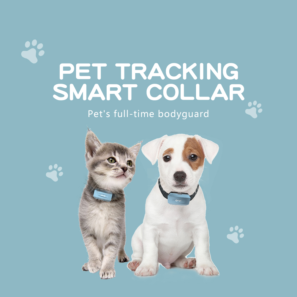 4G GPS Pet Tracker For Dogs