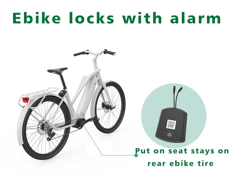 How Many Electric Bike Locks Does a Rental Ebike Have?