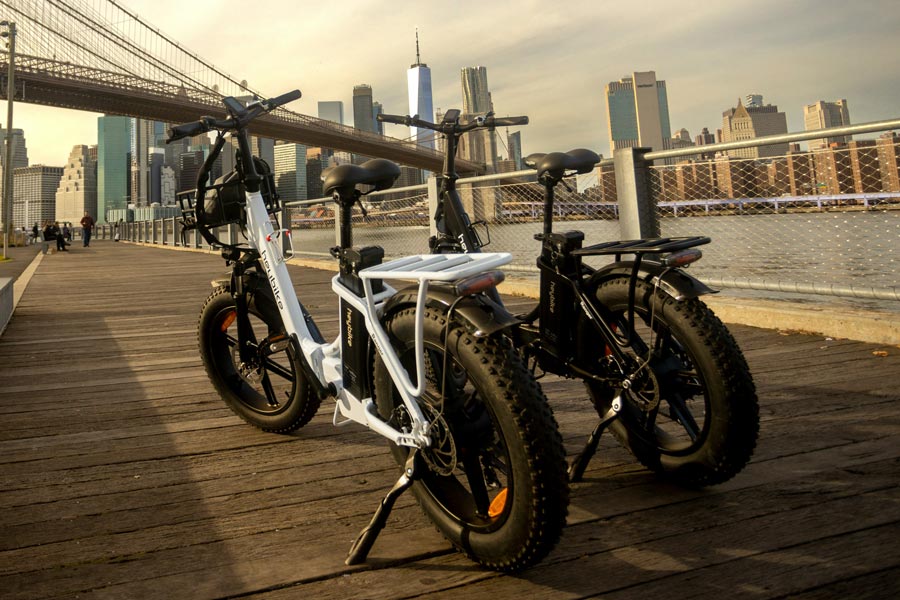 ebike system