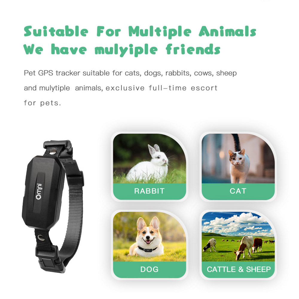 4G GPS Pet Tracker For Dogs