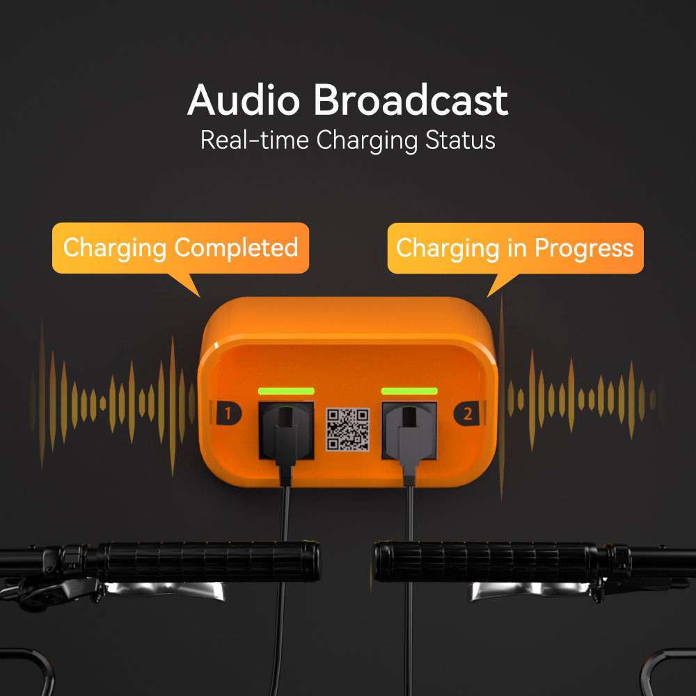 Ebikes Escooters E-mopeds Vehicle Charging Infrastructure