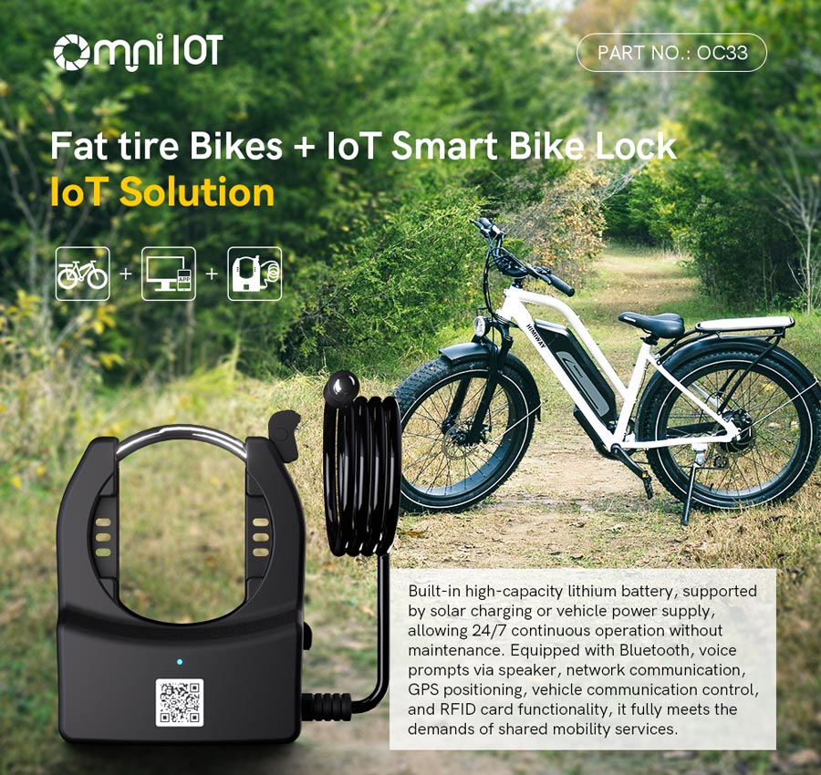 remote bike lock