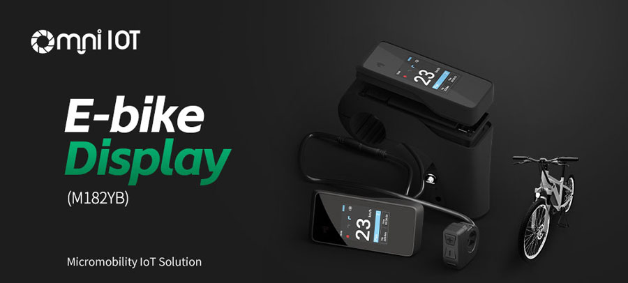 display for ebike